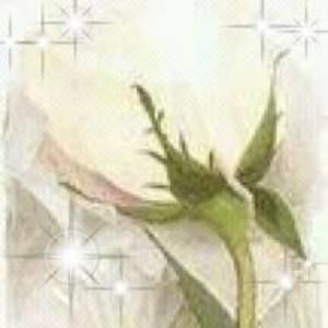 Meet your Posher, Mandy